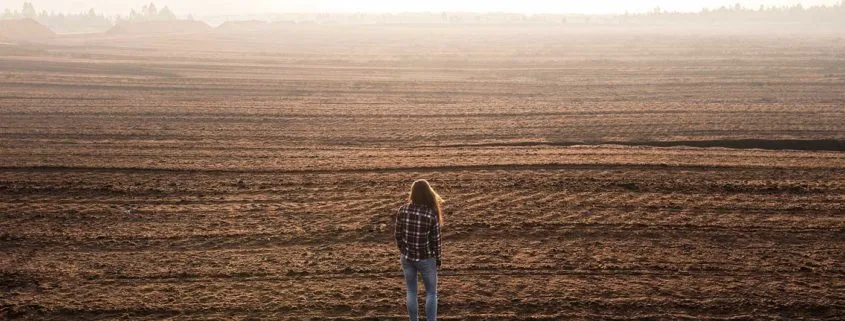 brown dirt with truck tracks