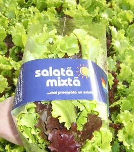 salata mixta