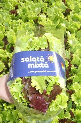 salata mixta